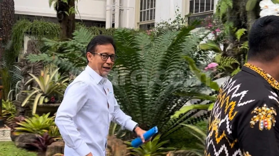 Menkes Budi Gunadi Sadikin Susul Chatib Basri dan Luhut ke Istana Menkes Budi Gunadi Sadikin Susul Chatib Basri dan Luhut ke Istana