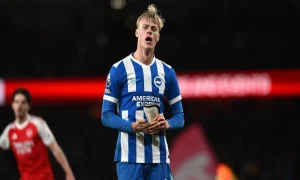 5 Fakta Mengejutkan Van Hecke yang Wajib Tahu di 2026