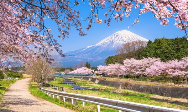 Ternyata Ini 5 Alasan Japan Jadi Destinasi Wajib 2026, Nomor 3 Mengejutkan