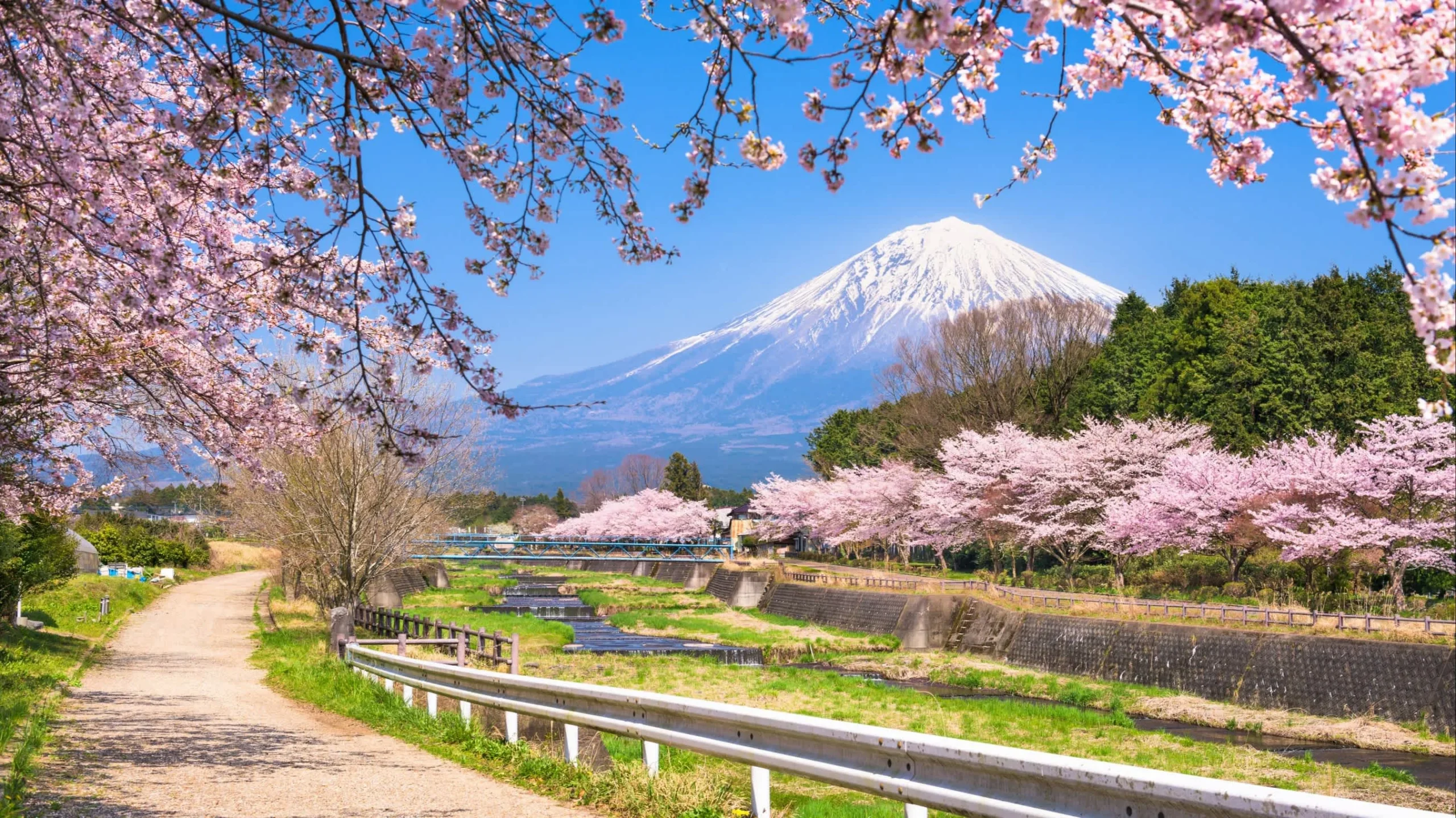 Ternyata Ini 5 Alasan Japan Jadi Destinasi Wajib 2026, Nomor 3 Mengejutkan