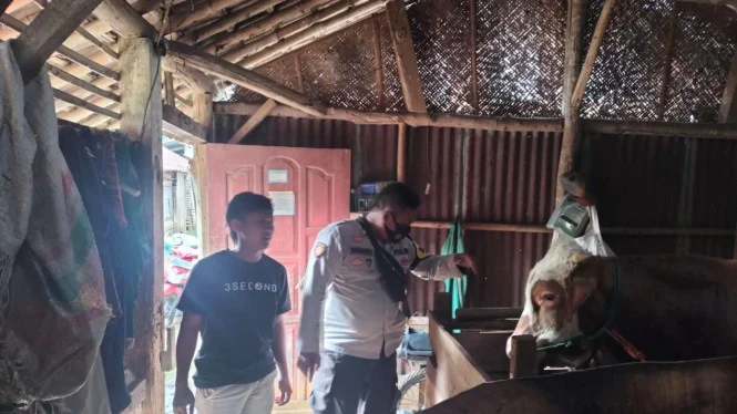 Petugas Penjualan Kendal